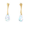 4e4i4847 The Gem Stories Crystal Silver Earrings Gold