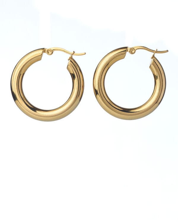 Links Gold Plated Earrings - 3 cm
