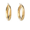 5lyv31901 The Gem Stories Links Gold Plated Earring 3cm