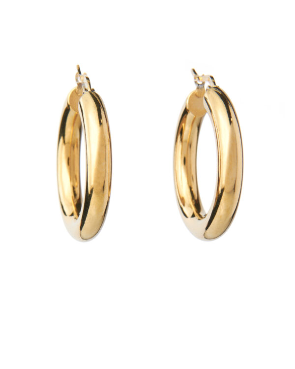5lyv31901 The Gem Stories Links Gold Plated Earring 3cm