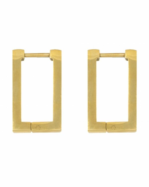 C11239671 The Gem Stories Rectangle Earrings Stainless Steal Gold Plated