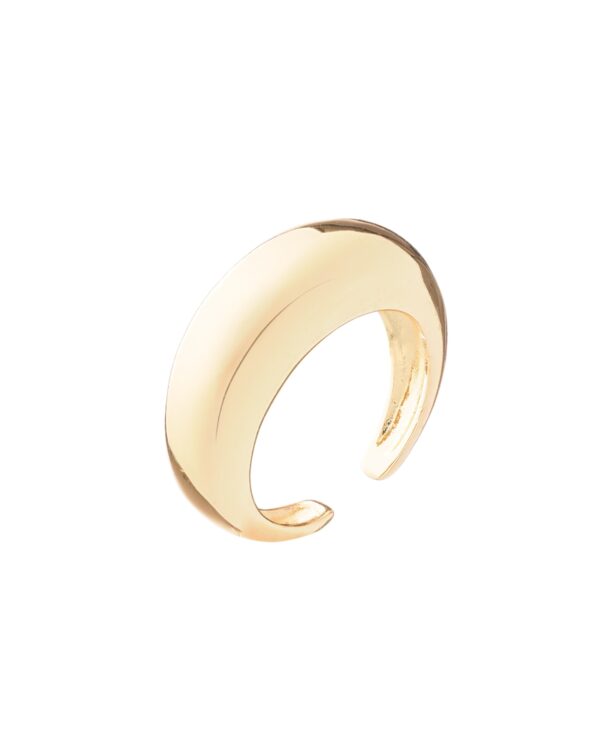 Xkb434047 The Gem Stories Curved 925 Sterling Silver Ring–24k Gold Plated