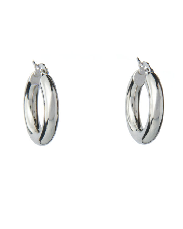 D7vh31903 The Gem Stories Links Rhodium Plated Earring 3cm
