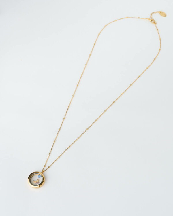 Butterfly Charm Memory Locket Necklace by The Gem Stories