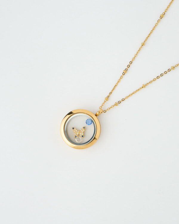 Butterfly Charm Memory Locket Necklace by The Gem Stories